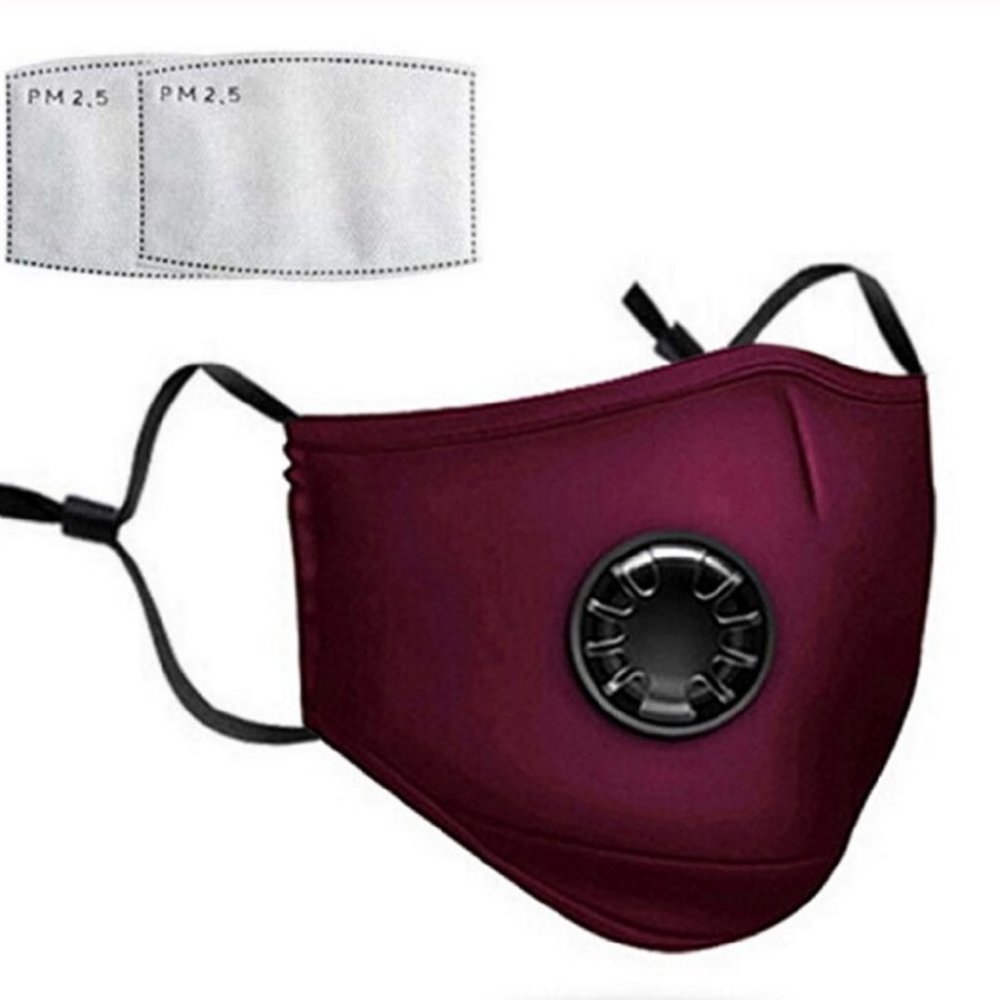 Safety Dust Mask with 2 PM2.5 Filters Reusable